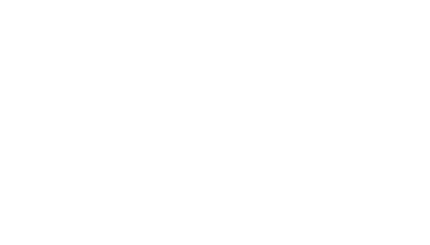 The Law on Police Use of Force